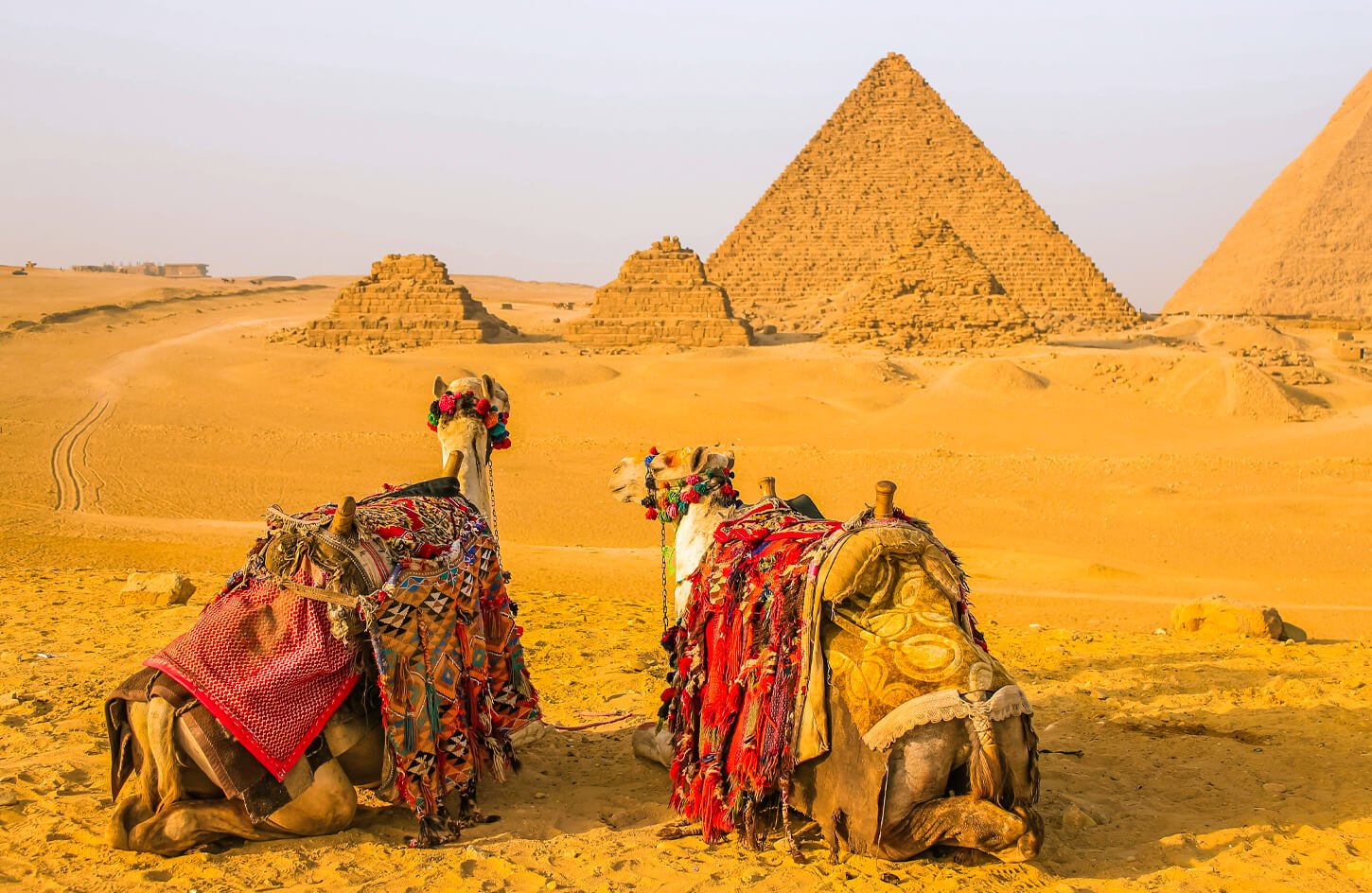 Day Tour To Pyramids Of Giza Sphinx From Alexandria Port Tut Egypt